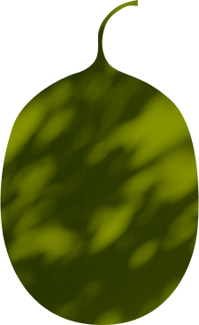 form